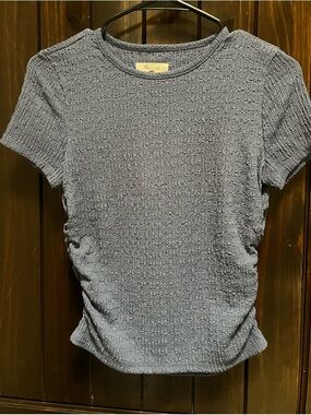 Madewell Blue Fitted Ribbed Short Sleeve Tee